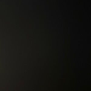 Meet your Posher, Dani